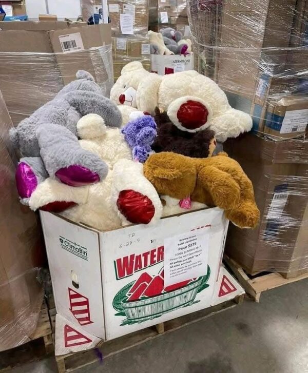 Buy wholesale teddy bear toy pallets