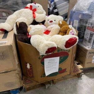 Buy wholesale teddy bear toy pallets