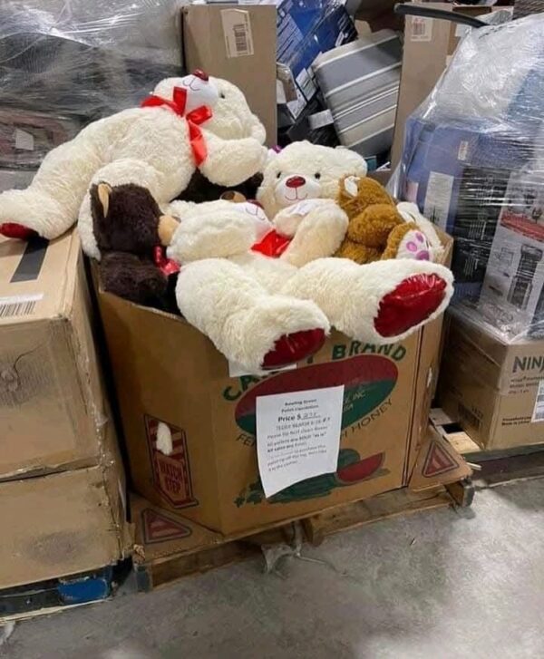 Buy wholesale teddy bear toy pallets