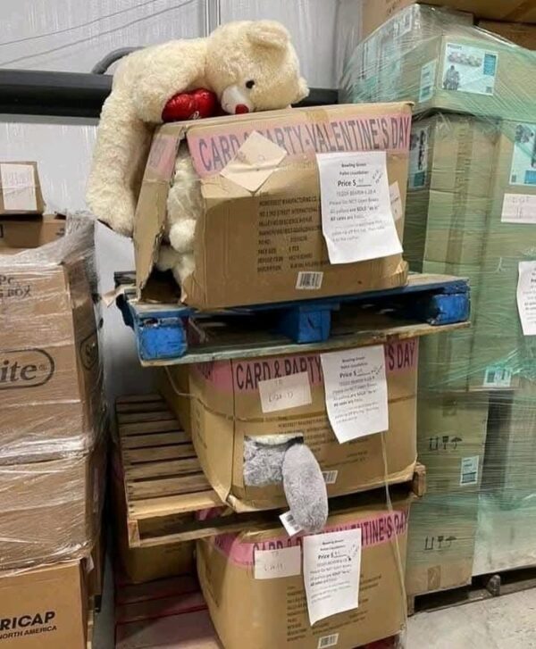 Buy wholesale teddy bear toy pallets